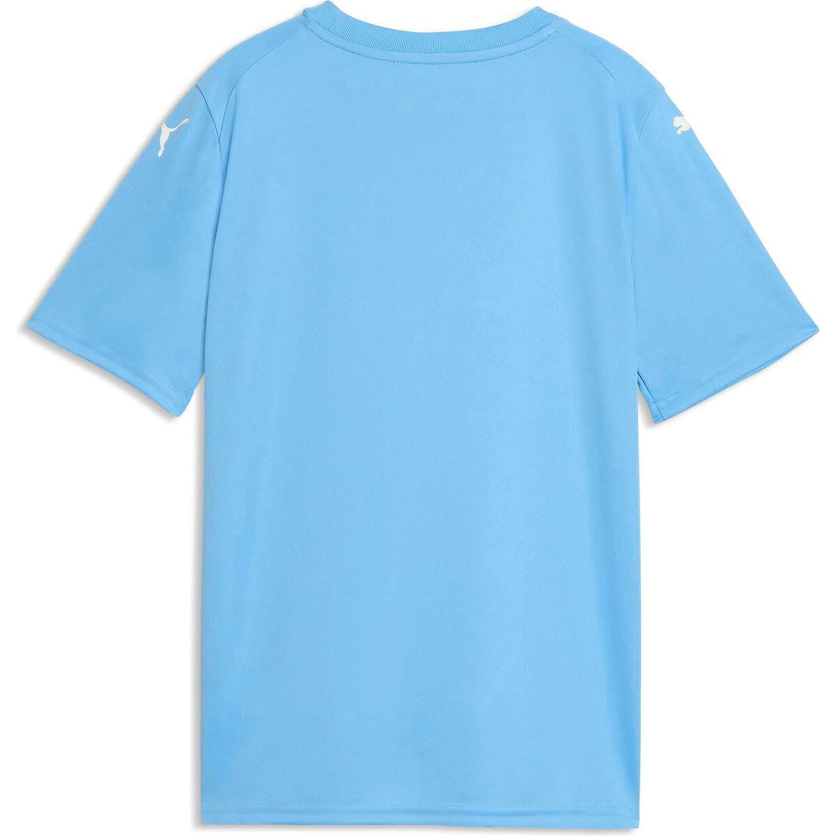 Puma Teamfinal Graphic Maillot Manches Courtes Enfants - Bleu ciel 2/2
