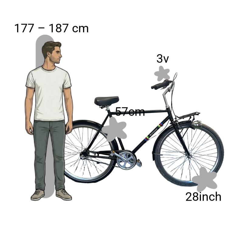 Bicicleta usada Popal Transportfiets 2/4