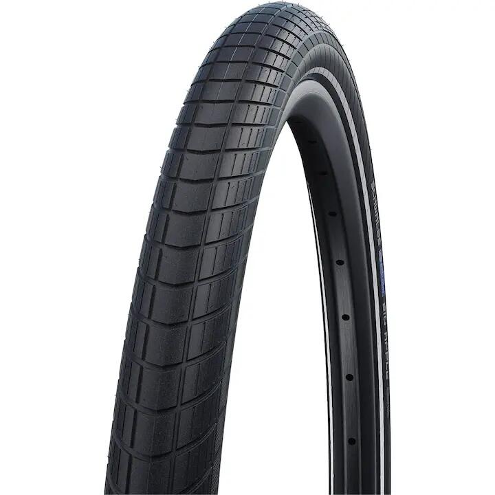 SCHWALBE picture