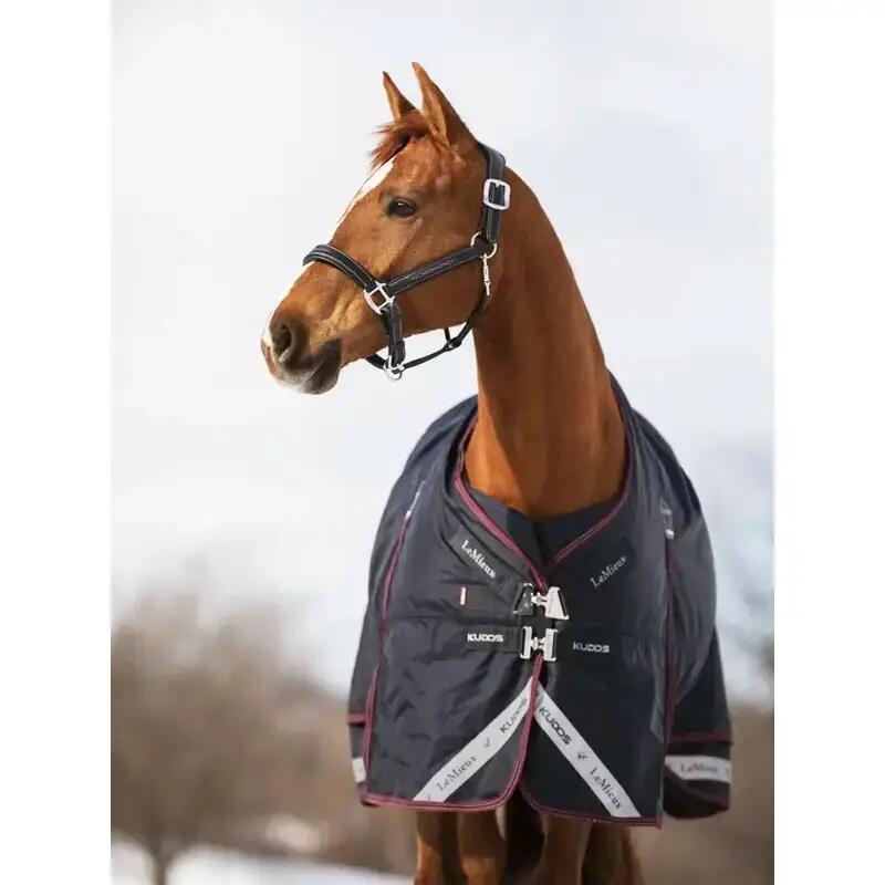 Outdoor paardendeken LeMieux Kudos 350g 4/4