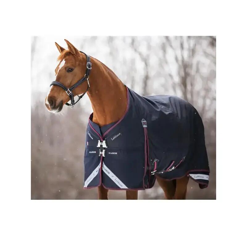 Outdoor paardendeken LeMieux Kudos 350g 3/4