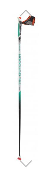 BATON picture