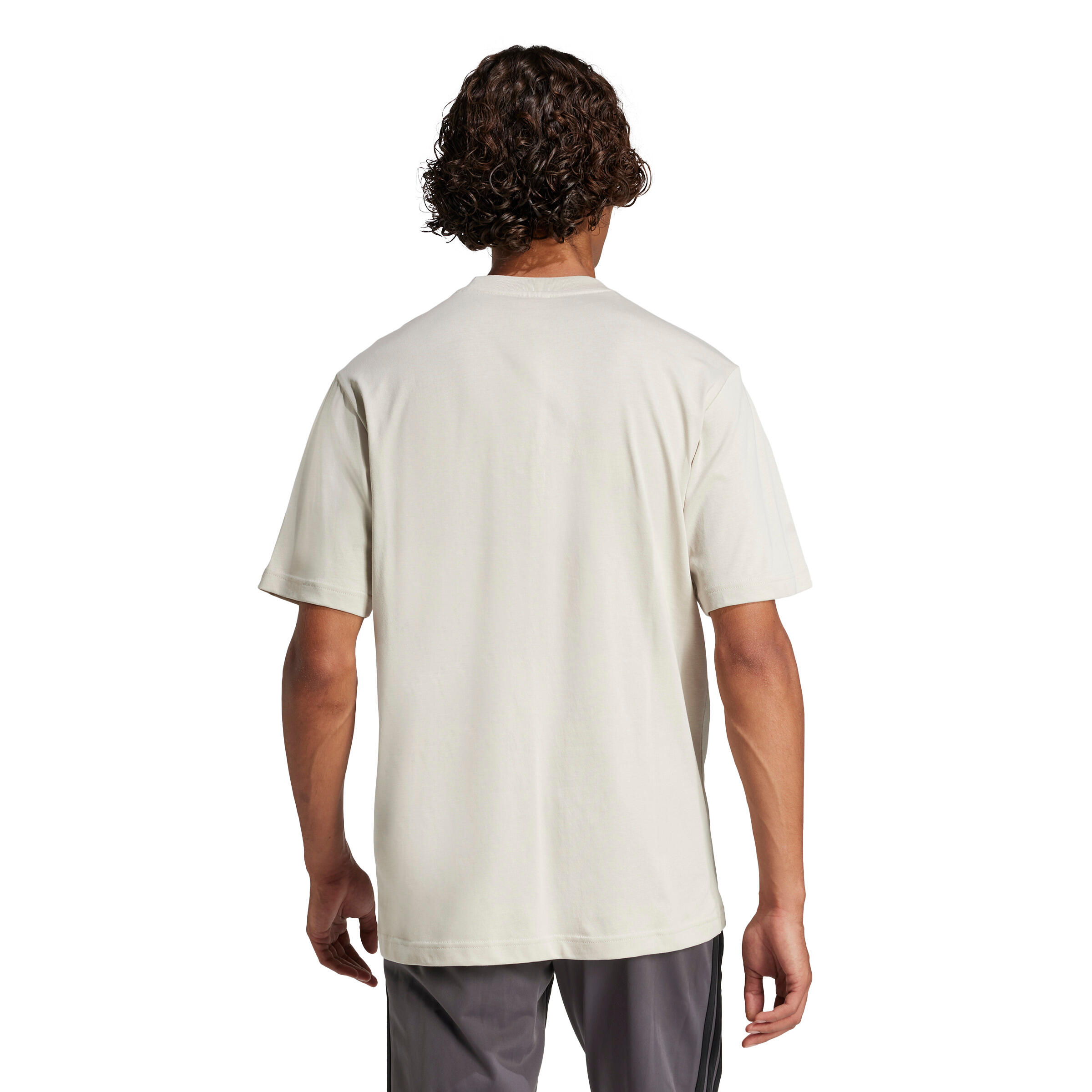 adidas Herren T-Shirt Big Logo SJ Tee 4/11