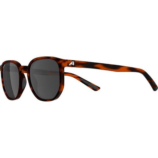 Lunettes de soleil Alpina Dimont