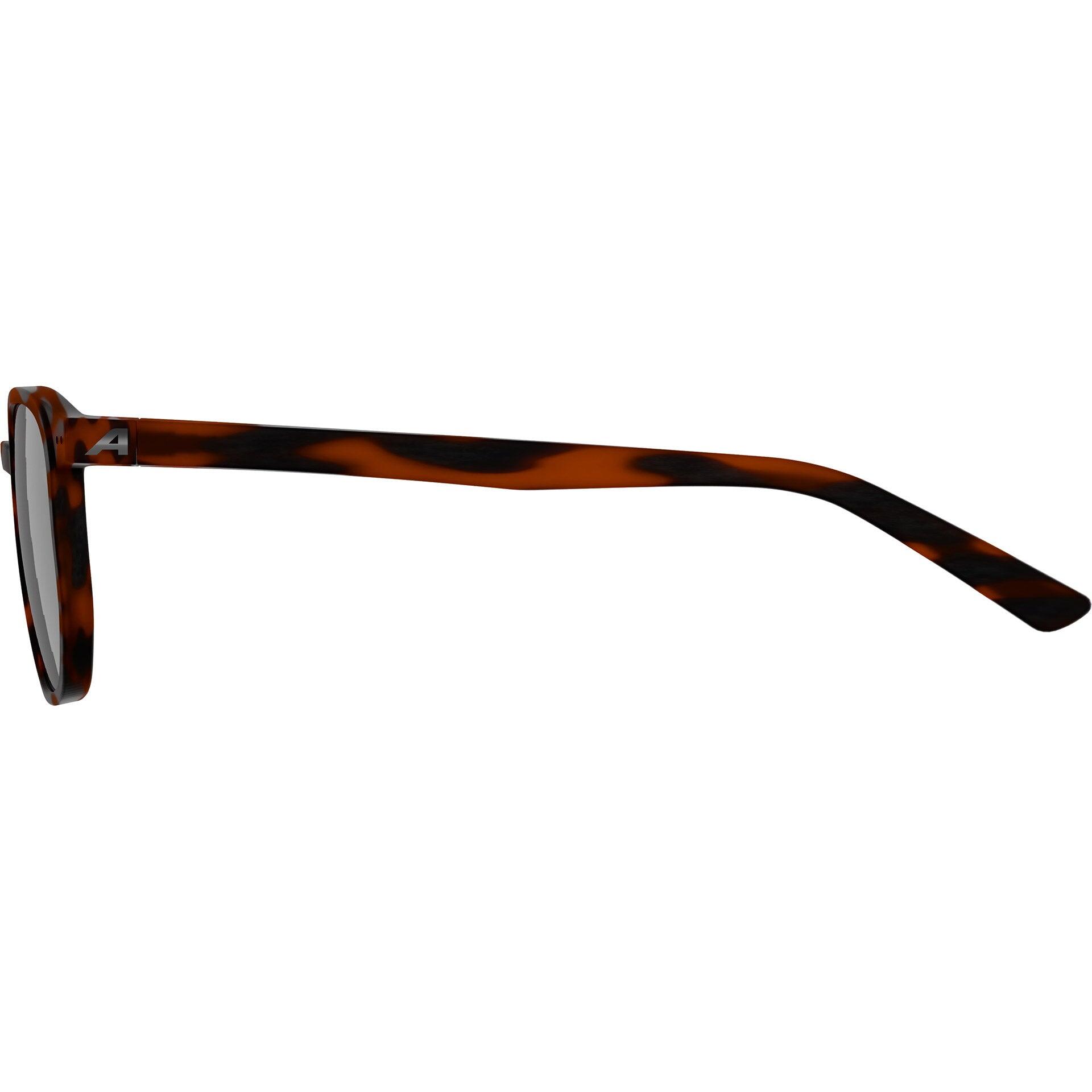 Occhiali sportivi Alpina Dimont montatura Havana lente nera 3/4