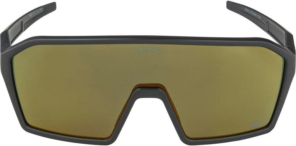 Lunettes de soleil Alpina Ram Q-Lite 2/4