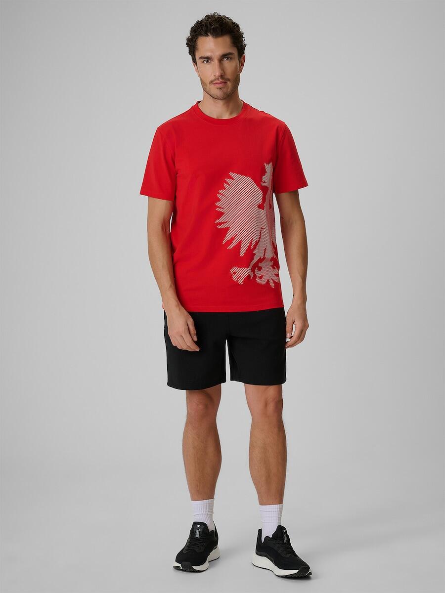 T-shirt bawełniany kibica męski 4F 4FRSS26TTSHM4200 3/7