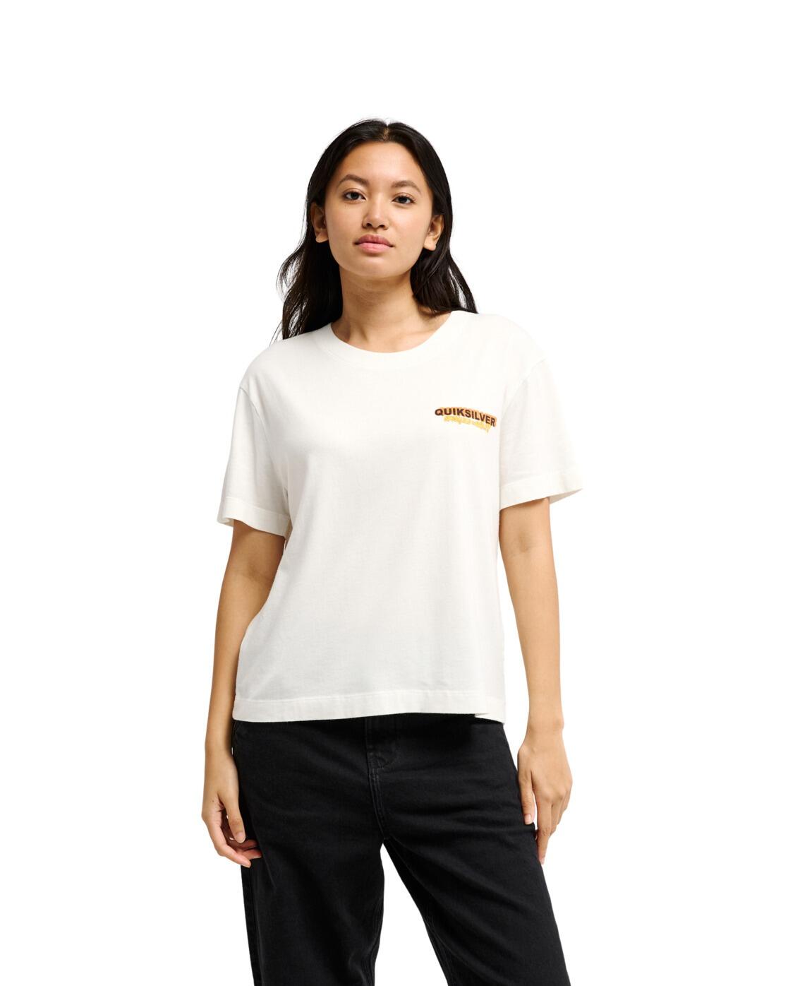 QUIKSILVER picture