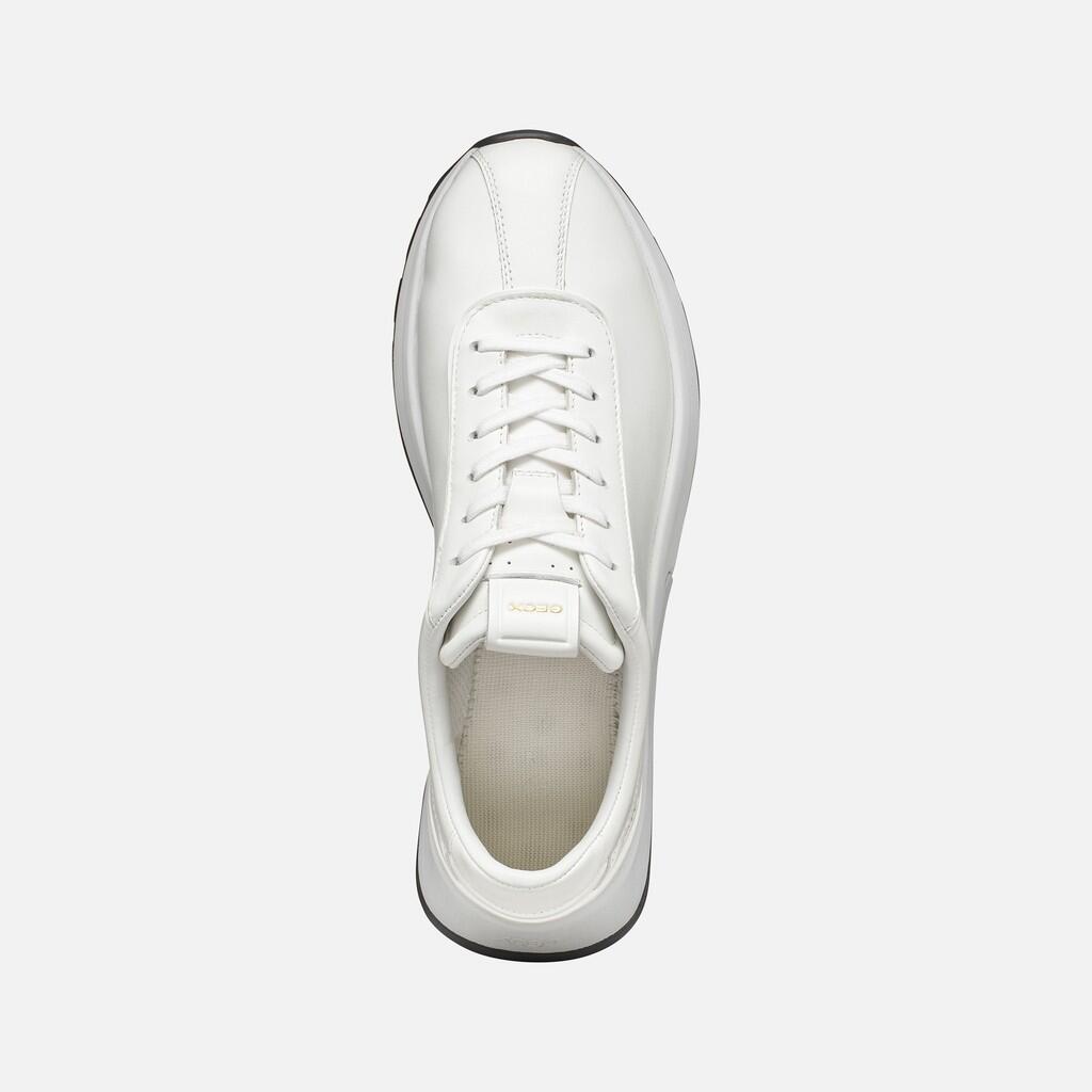 Baskets Homme U METROPOLI Blanc 7/7