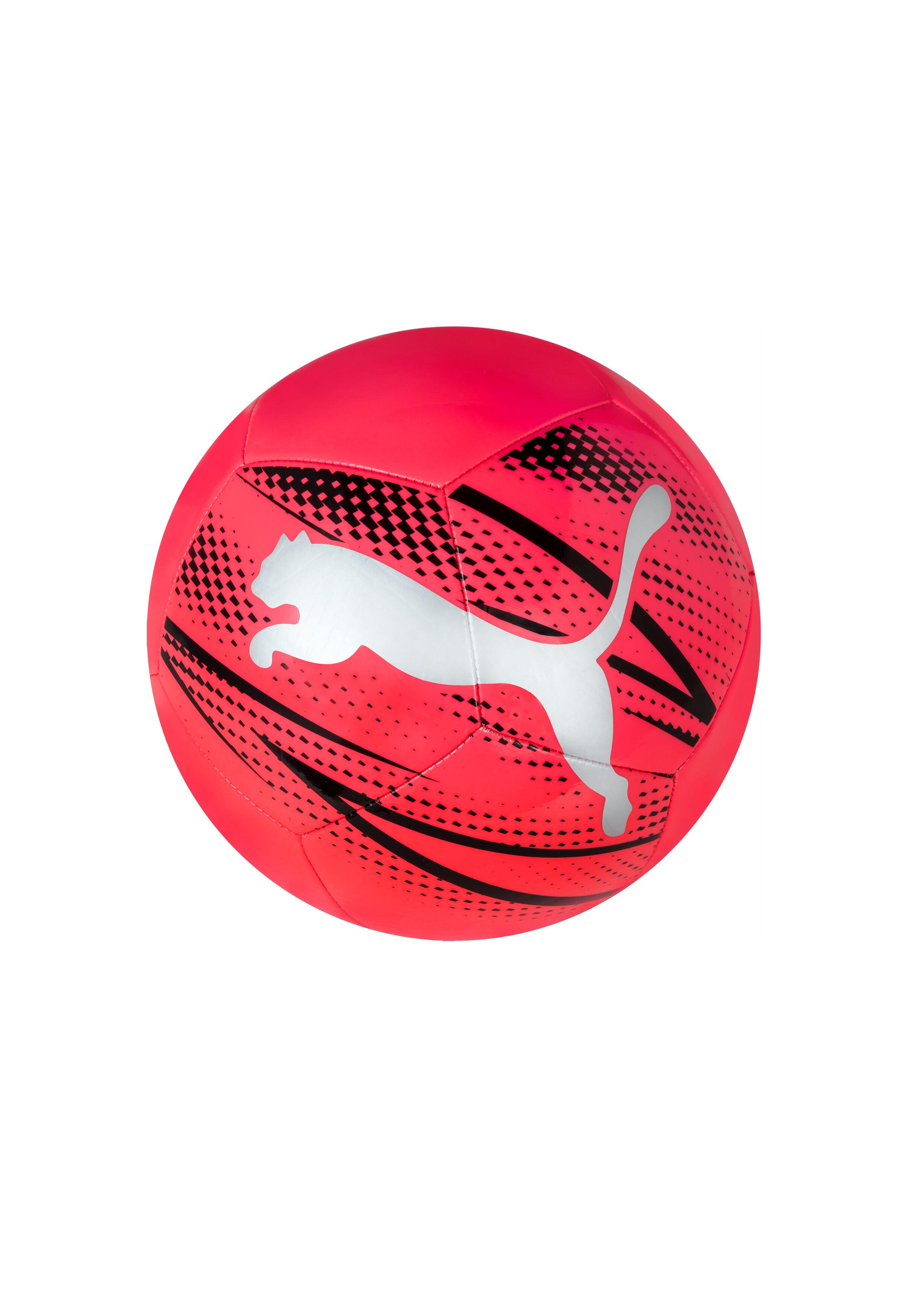 PUMA picture