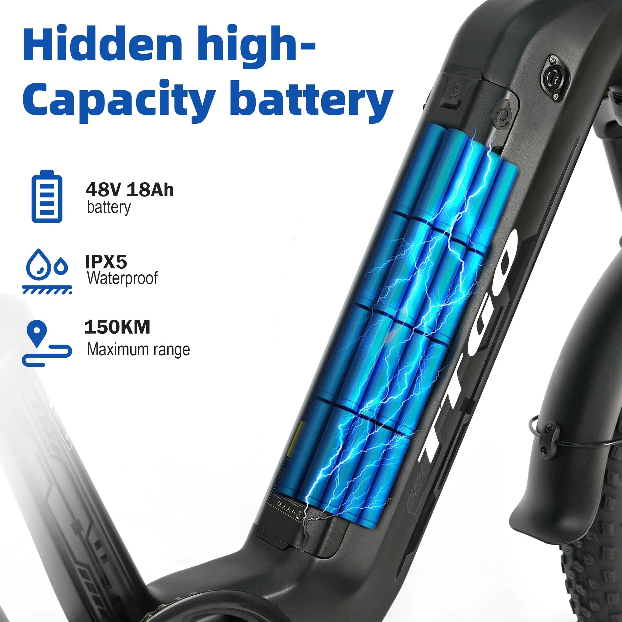 Bicicletta elettrica per adulti F8, batteria 48V 18Ah, pneumatico da 20". 10/13