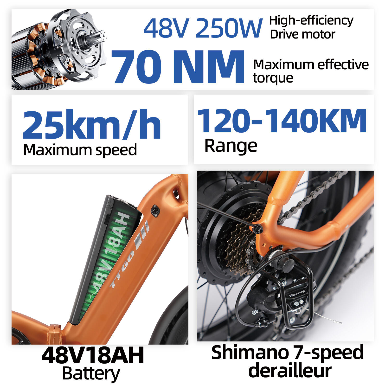 Elektrische fiets voor volwassenen TTGO F6 Boost batterij 48V18Ah motor 250W 6/15