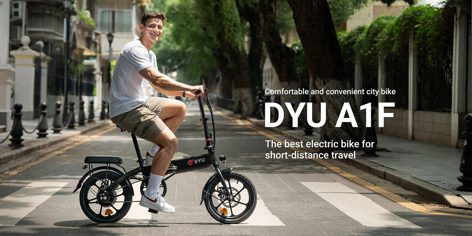Bicicletta elettrica per adulti DYU A1F PRO, batteria da 36V 7,5Ah 9/15