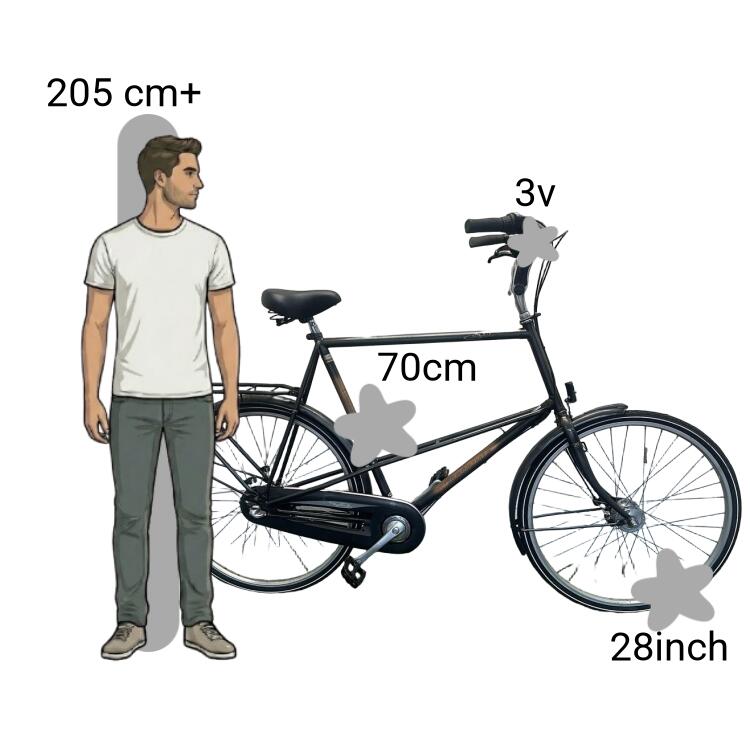 Bicicleta usada Batavus Stabilo 2/4