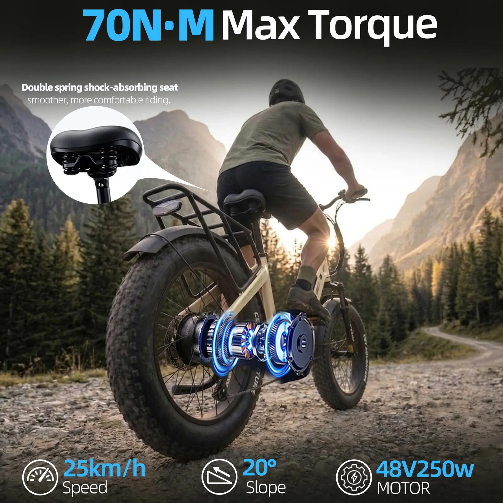 Elektrische fiets voor volwassenen TTGO F6 Boost batterij 48V18Ah motor 250W 8/15
