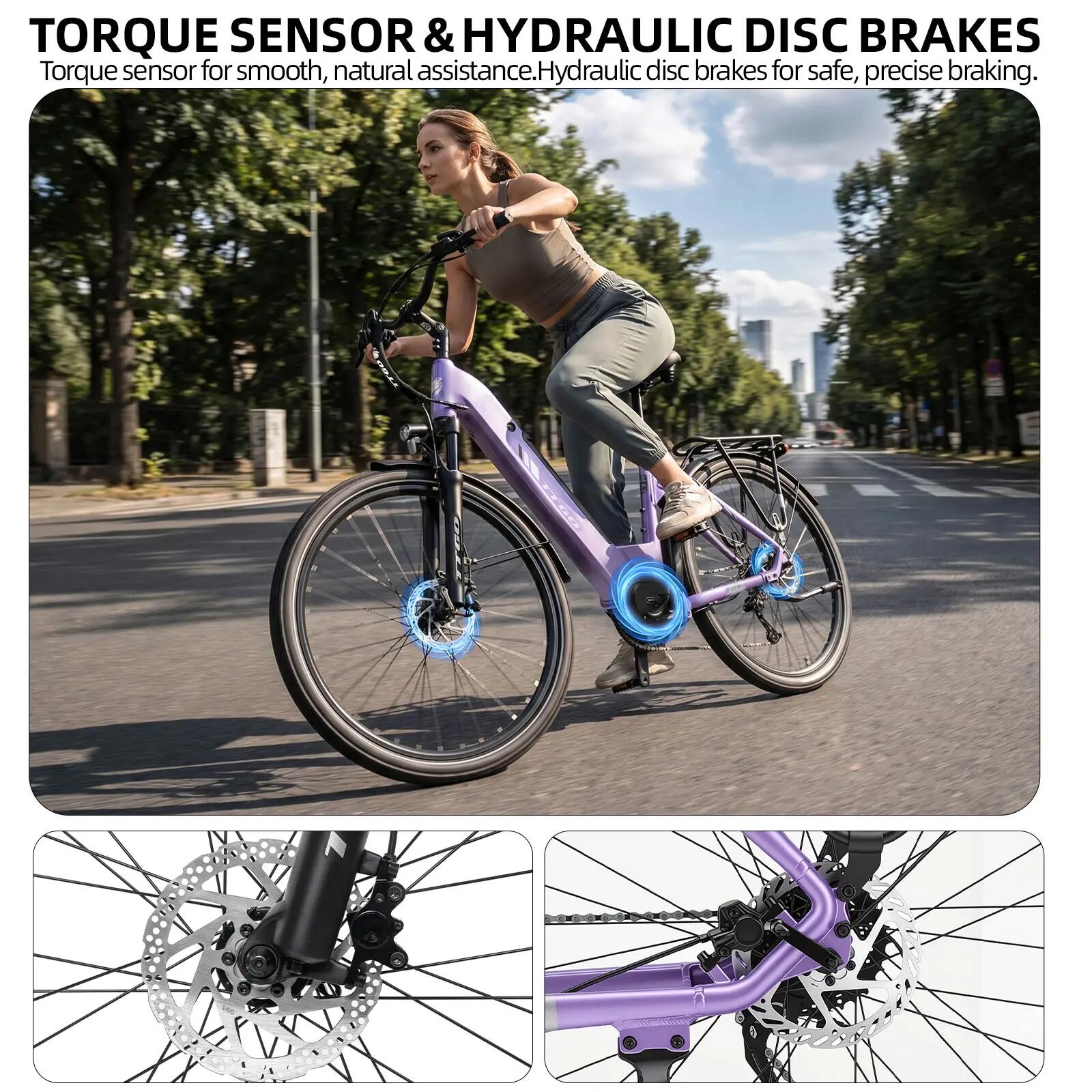 Elektrische fiets voor volwassenen TTGO C7SE batterij 36V18Ah banden 28 inch 9/15