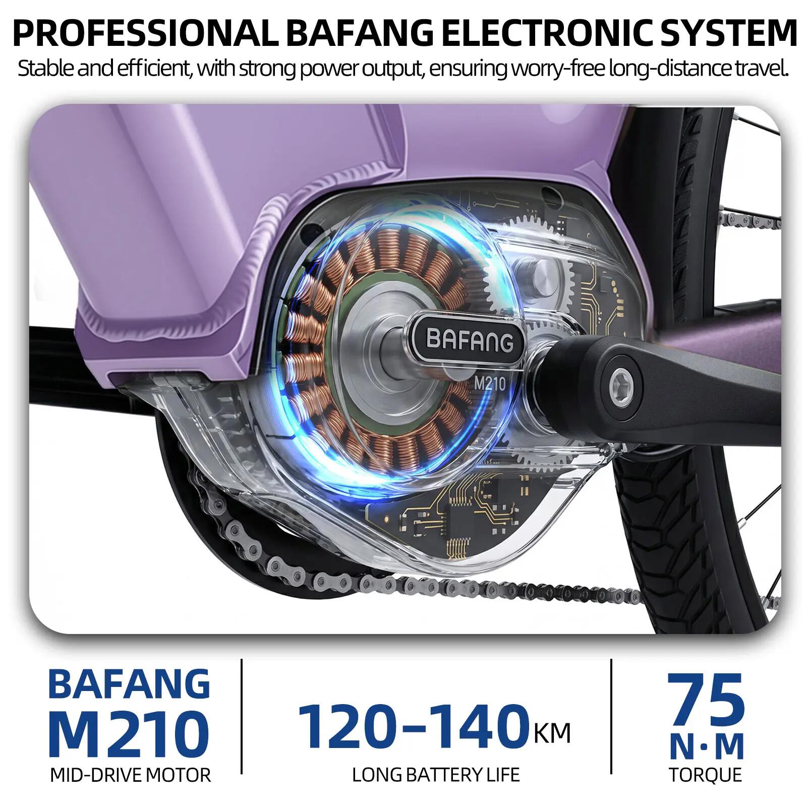 Elektrische fiets voor volwassenen TTGO C7SE batterij 36V18Ah banden 28 inch 6/15