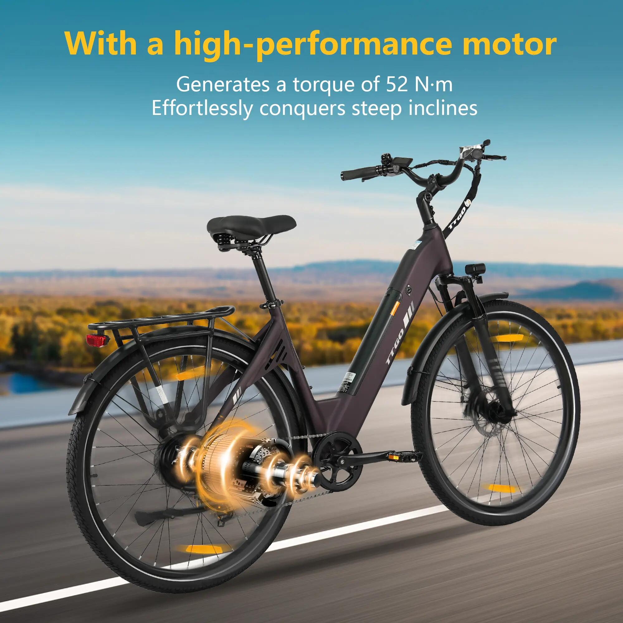 Bicicleta elétrica para adultos TTGO C3SE Bateria 36V18Ah Motor 250W 13/15