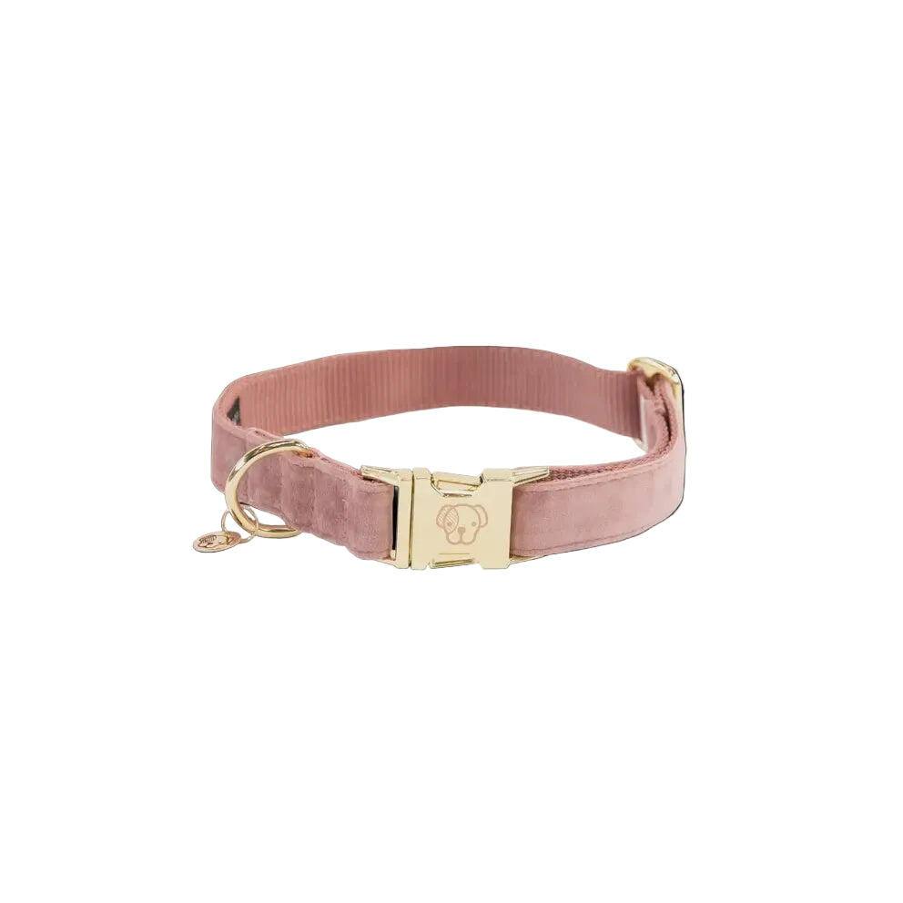 Collier pour chien Velvet - Kentucky 2/7