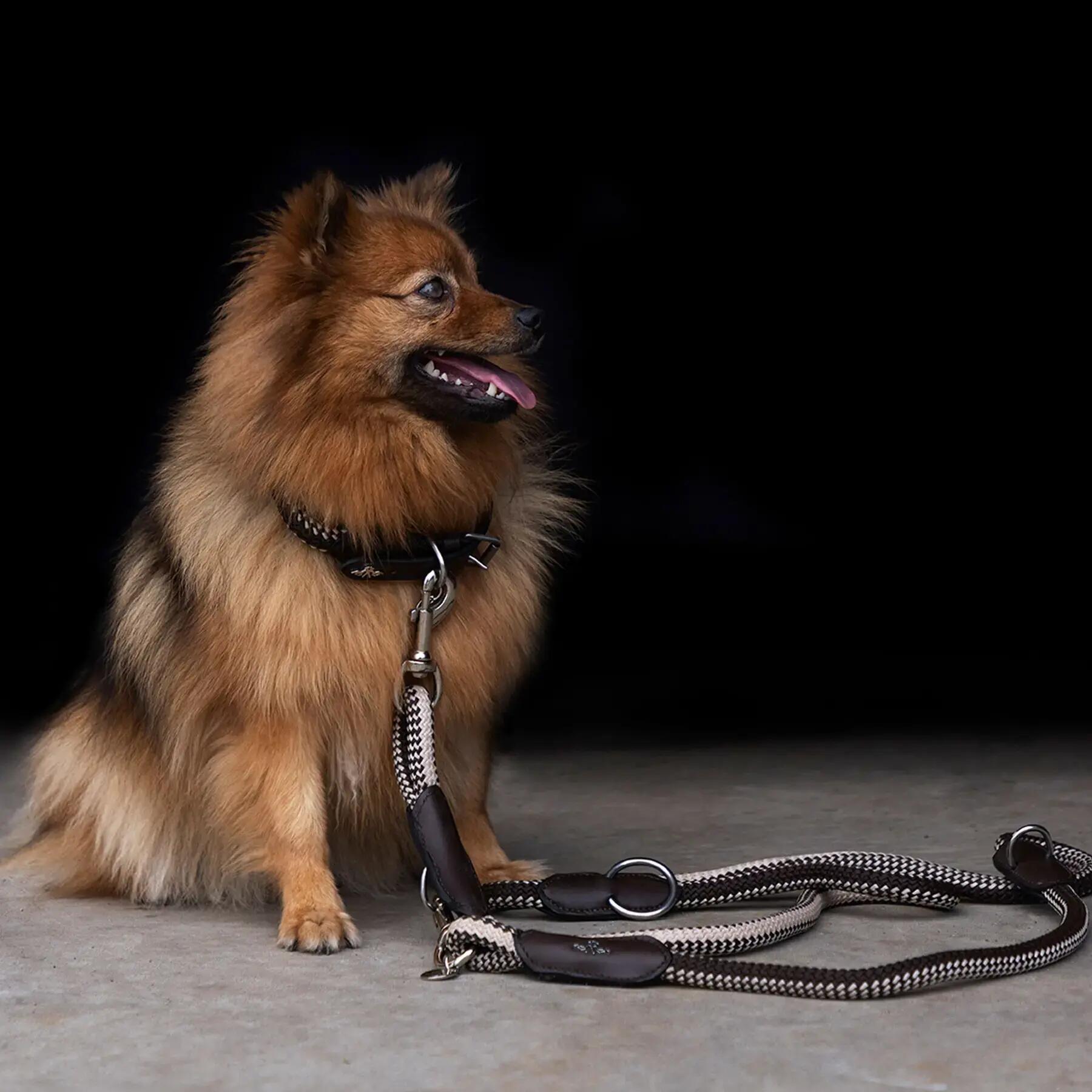 Dog collar HV Polo Franka Rope 2/2