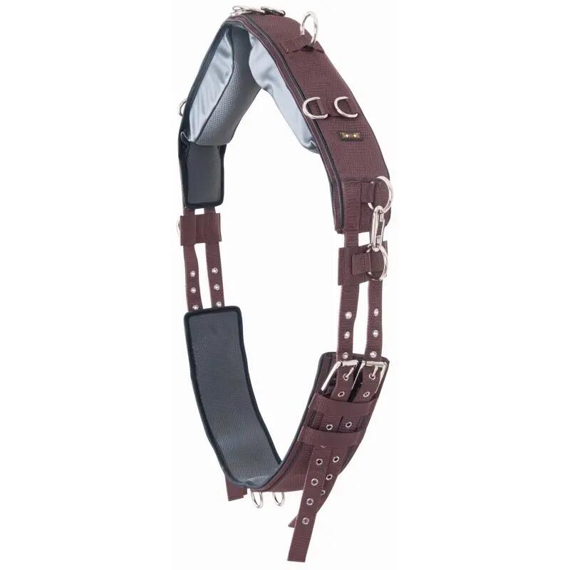 Paard surfaix T de T 1/4