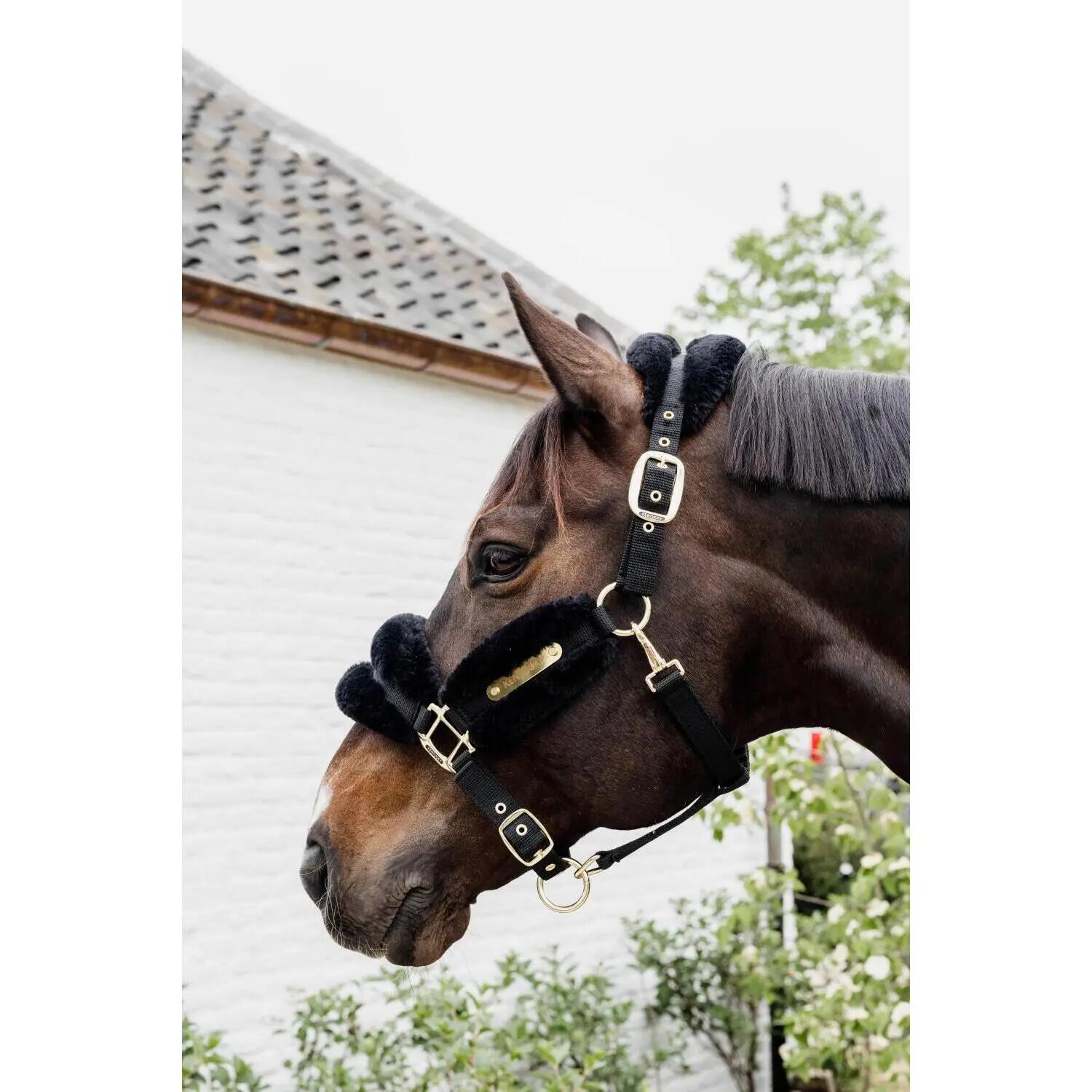 Licol nylon mouton soft noir pony 2/5