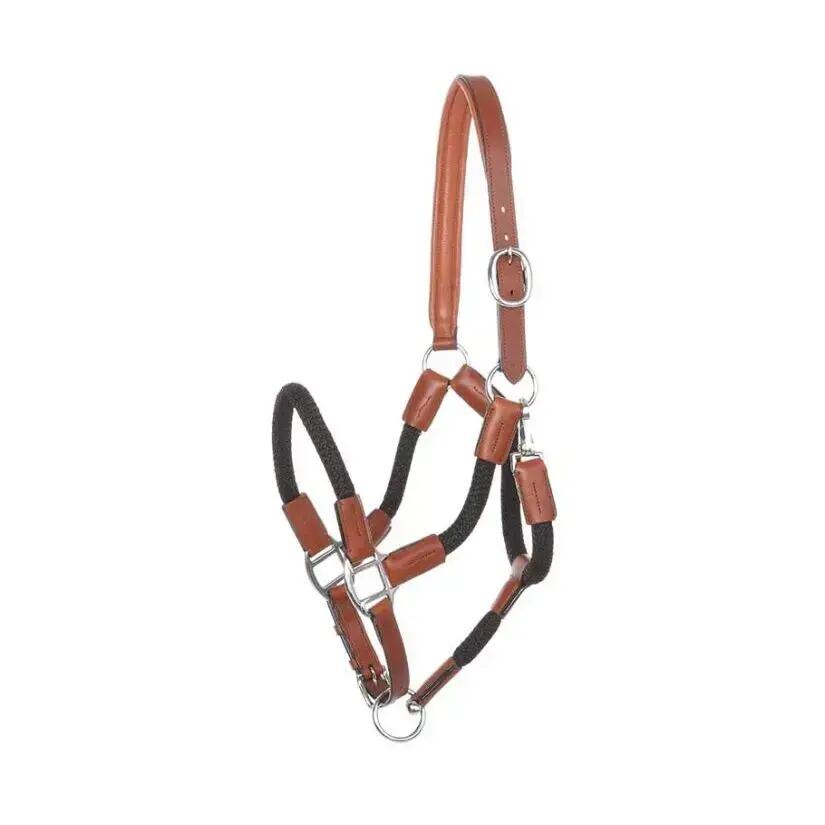 Halter for horse in reins Kavalkade Cavo