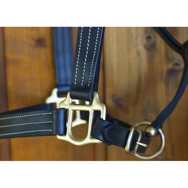 Licol pour cheval avec plaque T de T 2/2