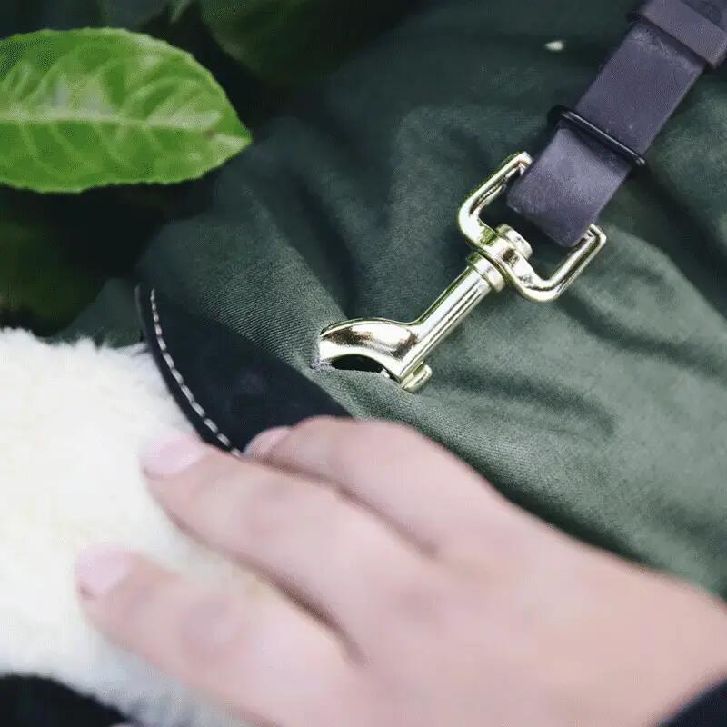 Manteau imperméable pour chien 300g  - Kentucky 3/3