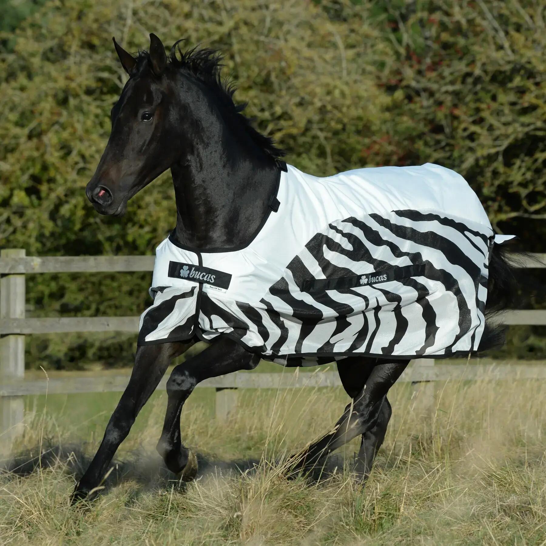 Fliegendecke für Pferde wasserdicht Bucas Rain Zebra 3/3