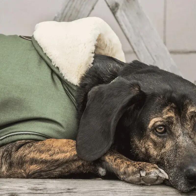 Manteau imperméable pour chien 300g  - Kentucky 2/3