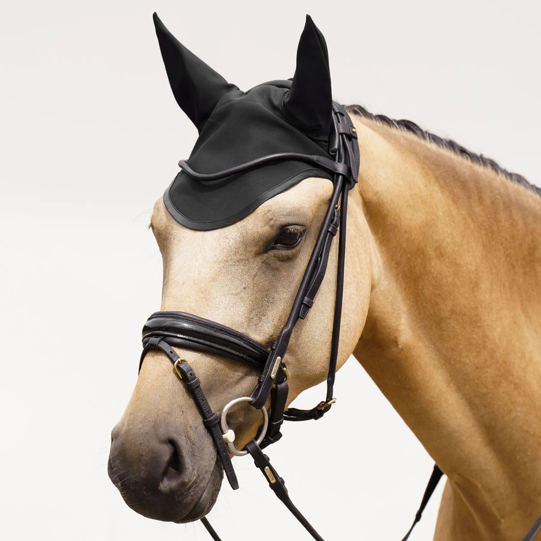 Fliegenhaube für Pferde Euro-Star Coco 2/3