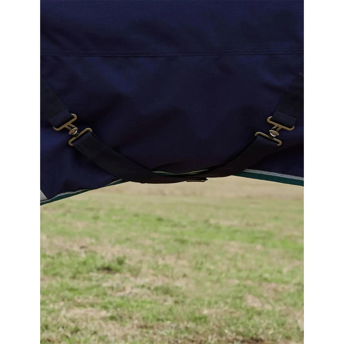 Manta de exterior para caballos Weatherbeeta Comfitec Plus Dynamic 220g 5/5