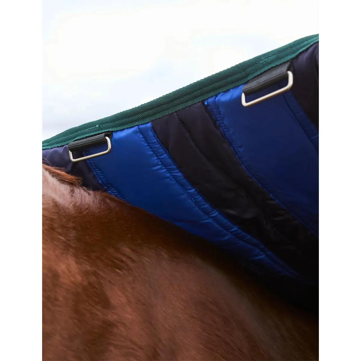 Manta de exterior para caballos Weatherbeeta Comfitec Plus Dynamic 220g 4/5