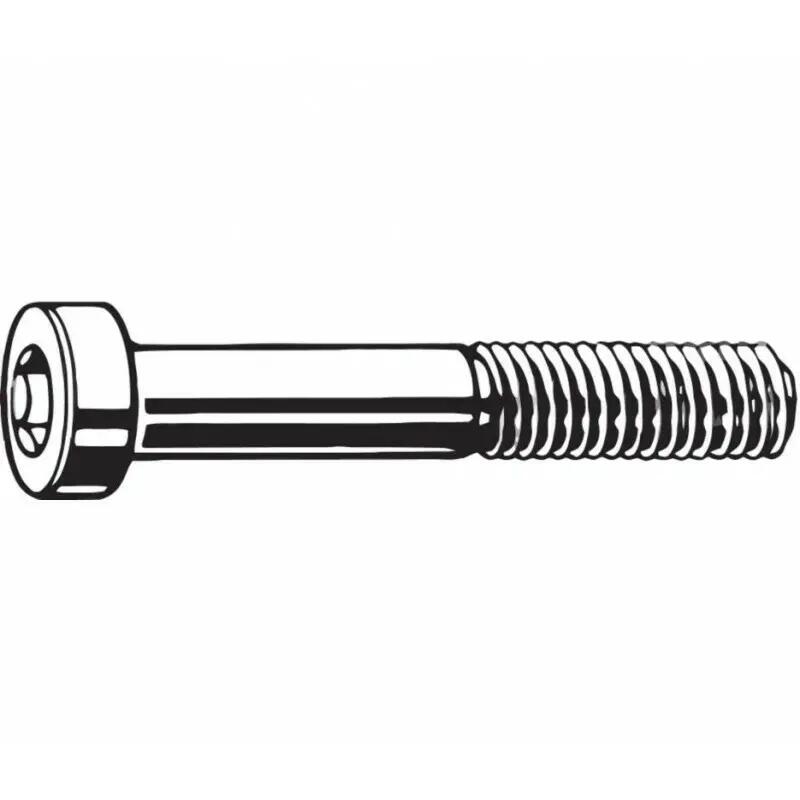 Pair of rear caliper screws TRP flat mount - inox - 17mm