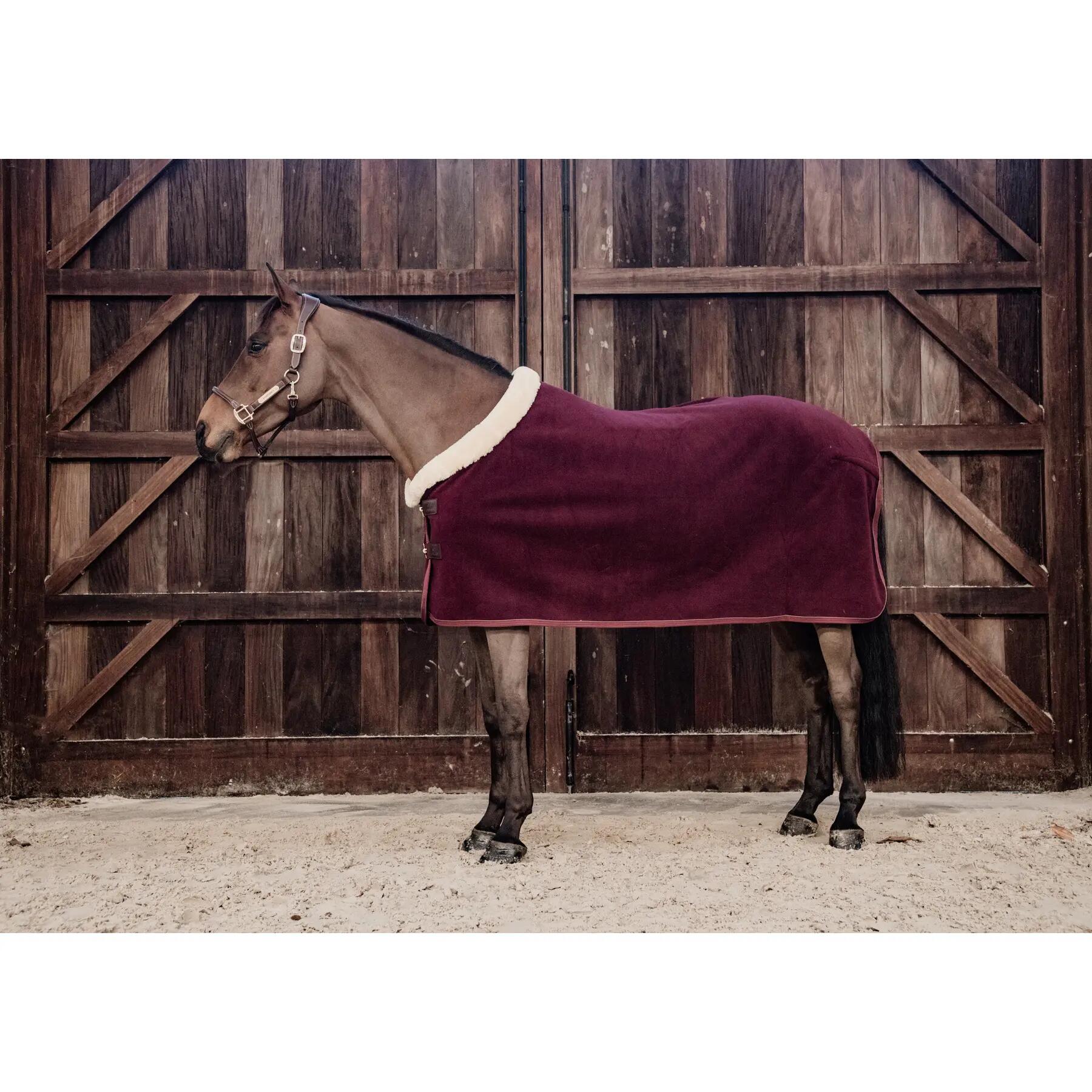 Chemise séchante show fleece 'heavy' bordeaux  125-5'9 2/5