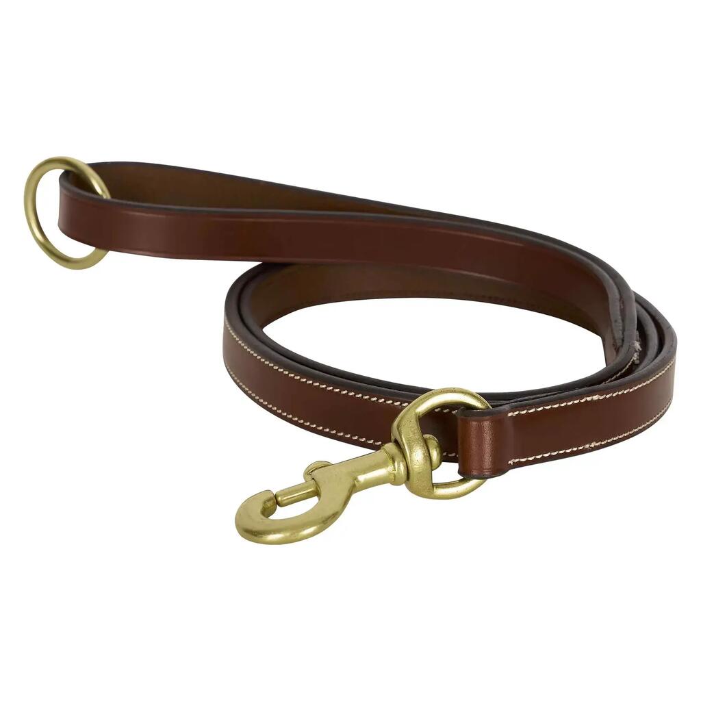 Dog leash HV Polo Legacy