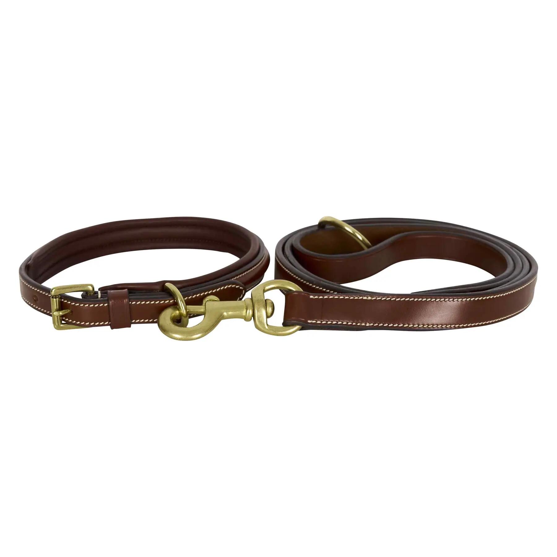 Hundeleine HV Polo Legacy 2/2