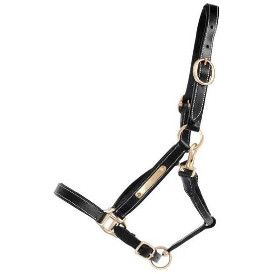 Licol pour cheval en cuir avec plaque T de T