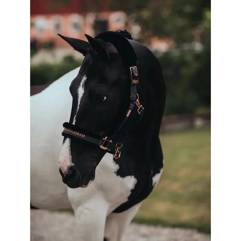 Licol doublé mouton et longe Equestrian Stockholm - DARK SKY 2/5