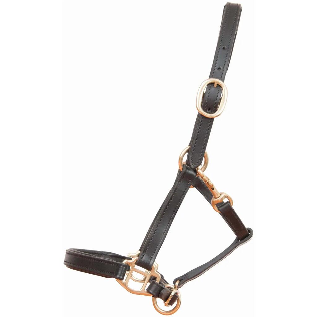 Halter for foal or mini leather horse T de T
