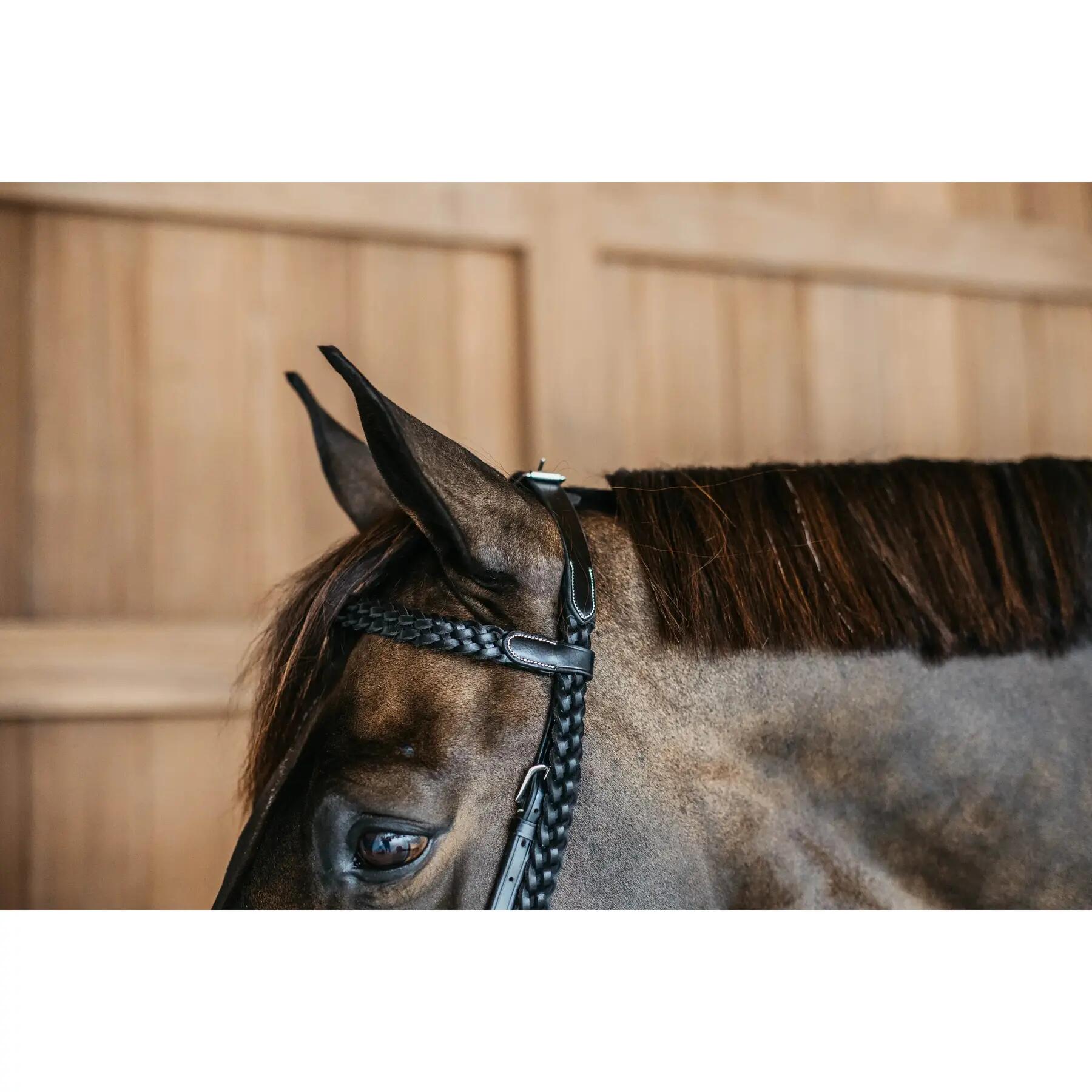 Bridons équitation tressée Dy'on 4/5