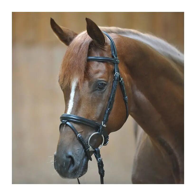 Briglie da equitazione Kavalkade Quentin 2/5