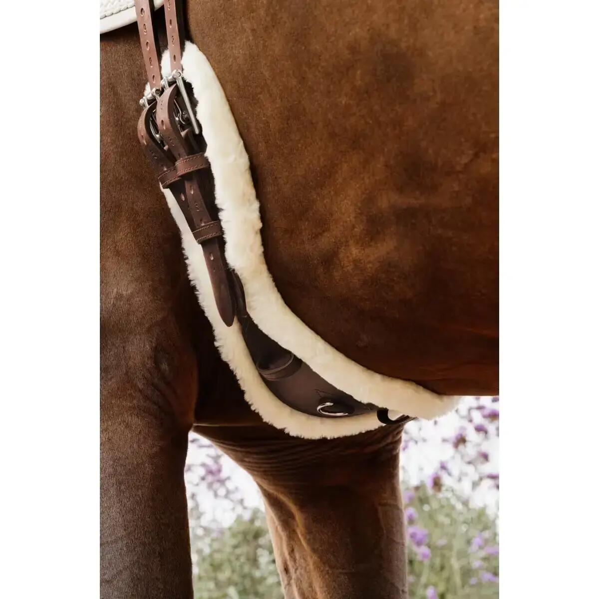 Sangle courte pour cheval anatomique en mouton Kentucky 2/2