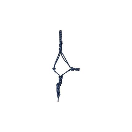 Licol pour cheval etho+longe T de T