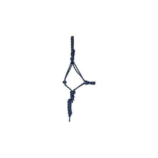 Licol pour cheval etho+longe T de T
