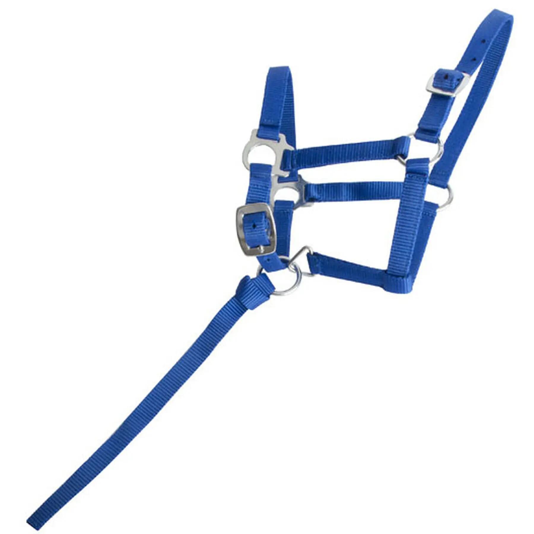 Licol pour cheval pour foal T de T 1/1