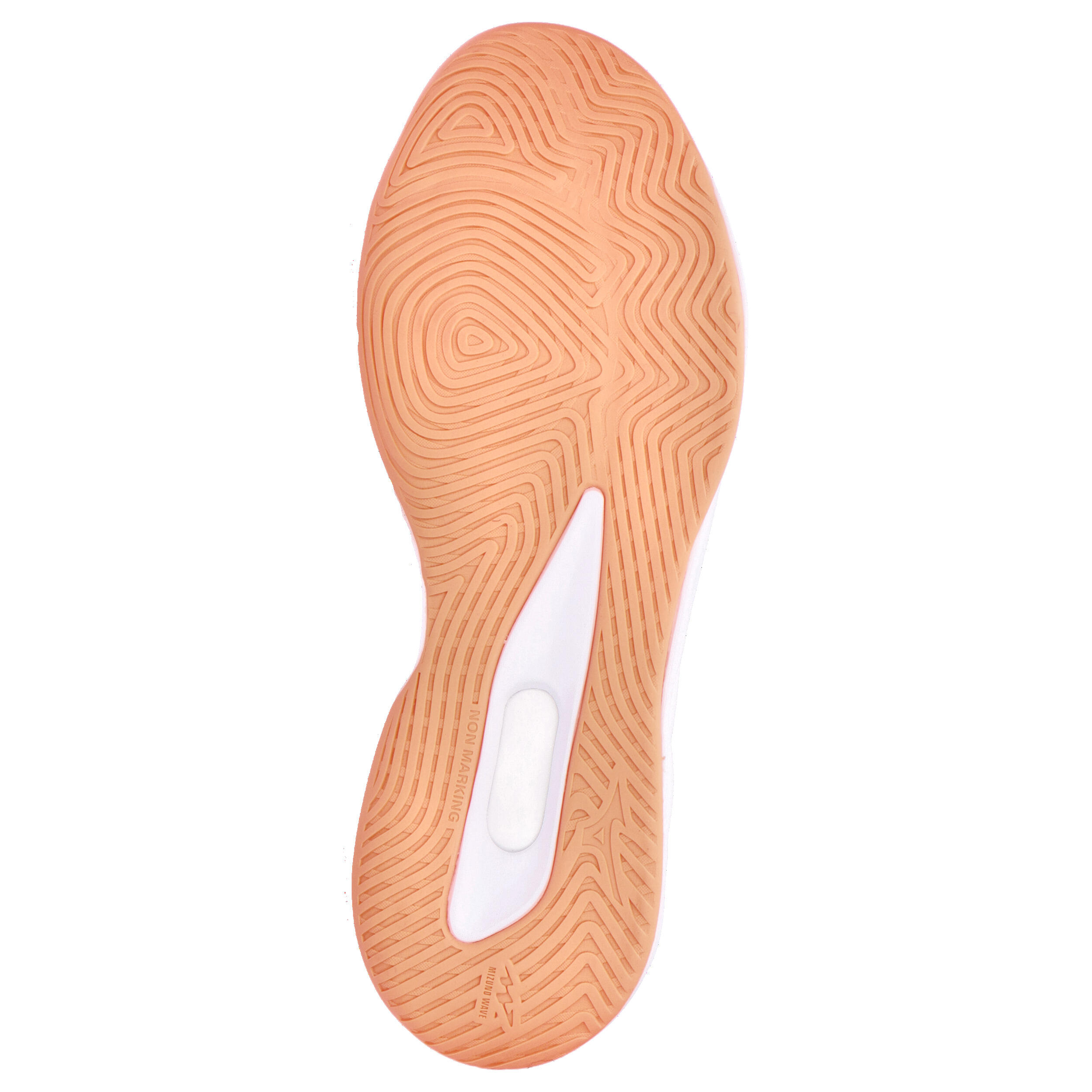 Indoorschoenen voor dames Mizuno Wave Luminous Elite 6/14
