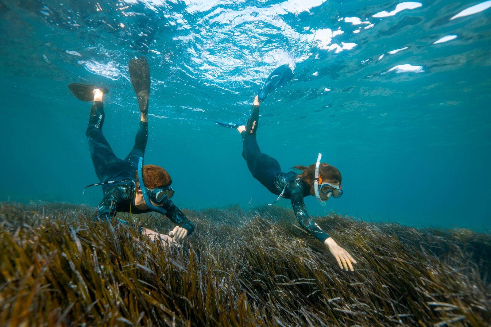 ATOLL-ZD 2mm seaweed|Uomo 9/9
