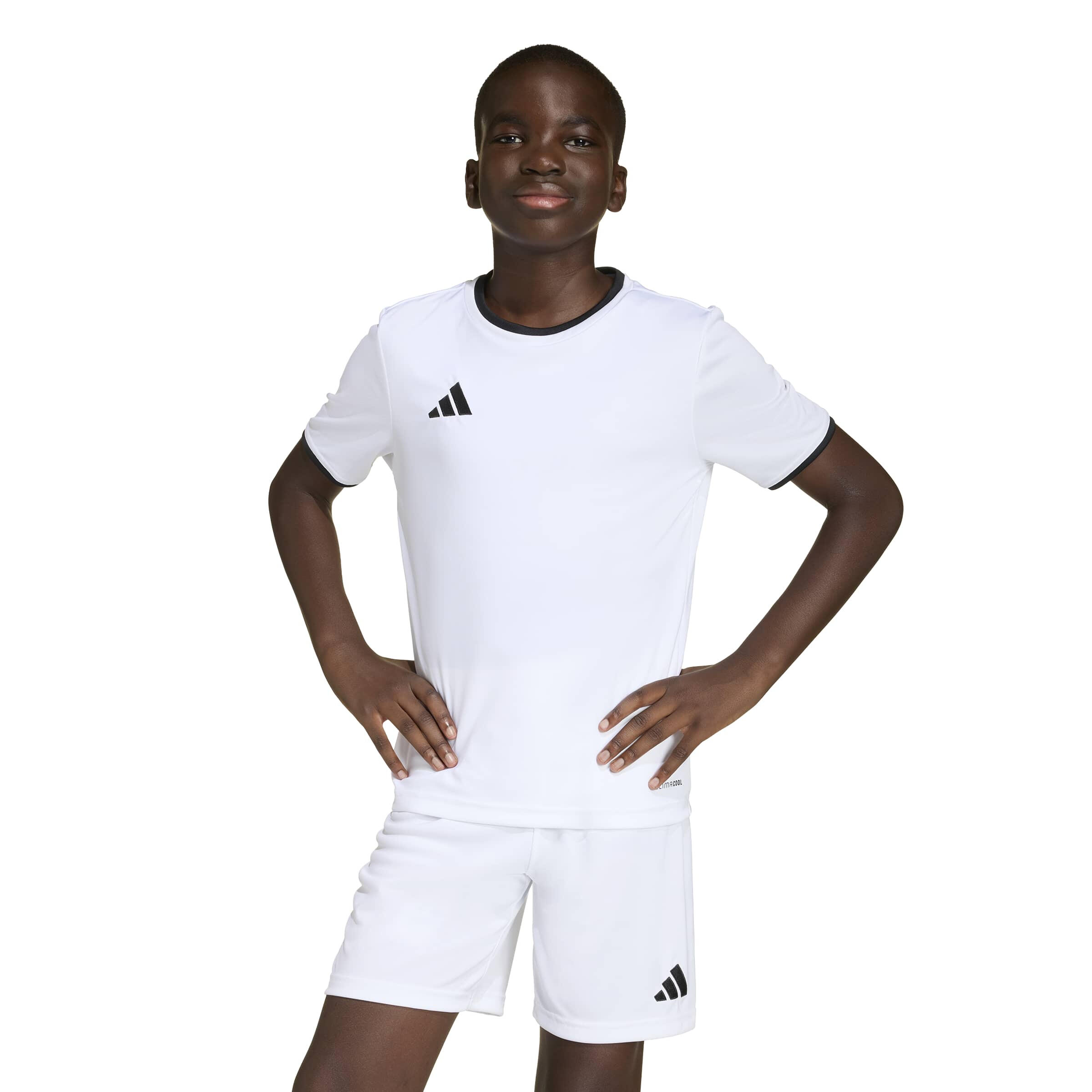 adidas Kinder Trikot Entrada 26 Jersey Y 2/12